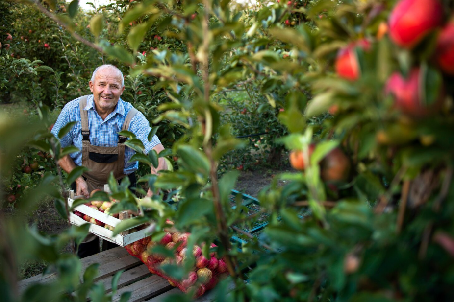 Exploring Paynes Orchard: Everything You Need to Know